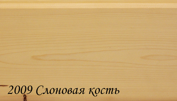 2009_slonovaya_kost1-8