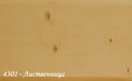 BF-4301-listvennitsa